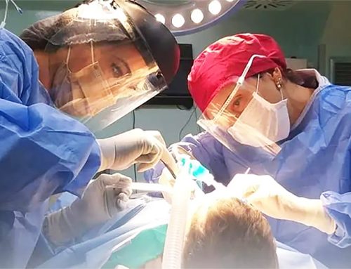 Türkiye’s Rise in Medical Tourism – RoselleDent as a Chamber-Approved Dental Destination